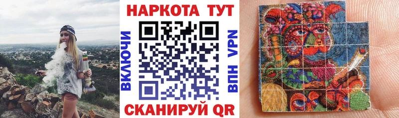 Купить закладку АМФЕТАМИН  Мефедрон  Псилоцибиновые грибы  Гашиш  Cocaine  A PVP  Нефтекумск
