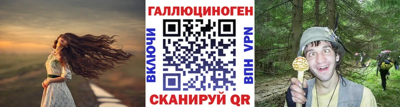 Псилоцибиновые грибы Psilocybe  Купить закладки  Нефтекумск 