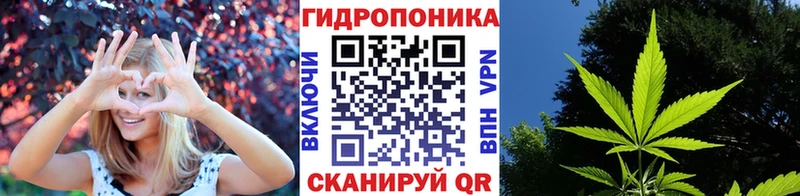 Купить закладки  Нефтекумск  Канабис VHQ 